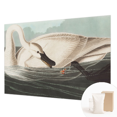 Fototapet børneværelse Naturens harmoni