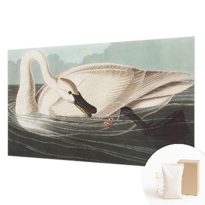 Fototapet børneværelse Naturens harmoni