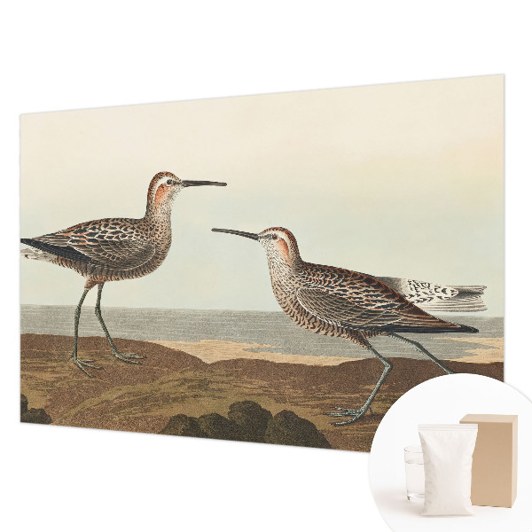 Fotovæg Fuglesilhuetter