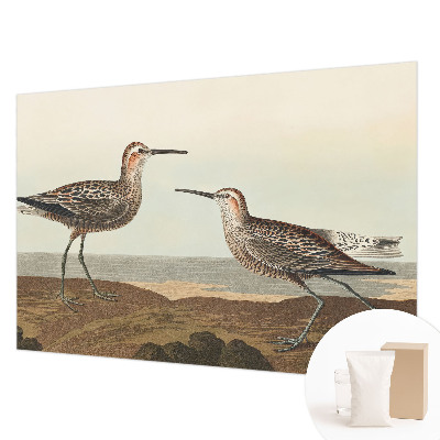 Fotovæg Fuglesilhuetter