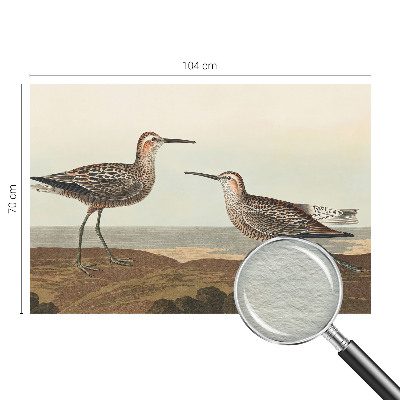 Fotovæg Fuglesilhuetter