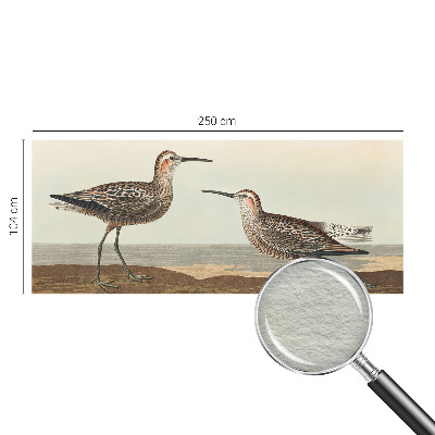 Fotovæg Fuglesilhuetter