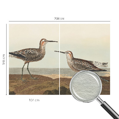 Fotovæg Fuglesilhuetter