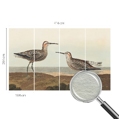 Fotovæg Fuglesilhuetter