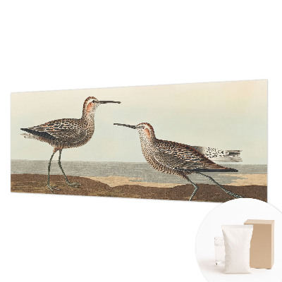 Fotovæg Fuglesilhuetter