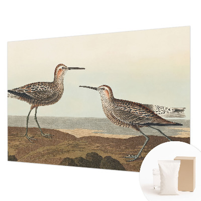 Fotovæg Fuglesilhuetter