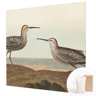 Fotovæg Fuglesilhuetter