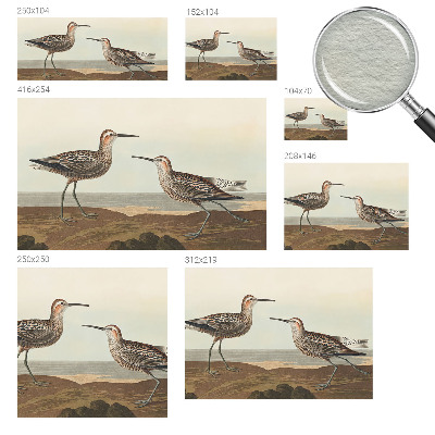 Fotovæg Fuglesilhuetter