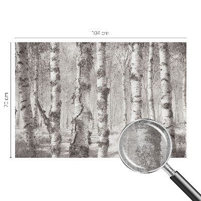 Fototapet soveværelse Birkeskov