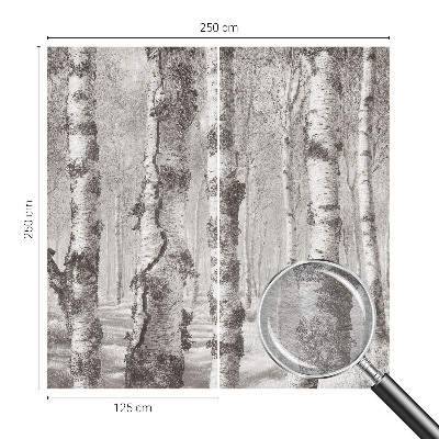 Fototapet soveværelse Birkeskov