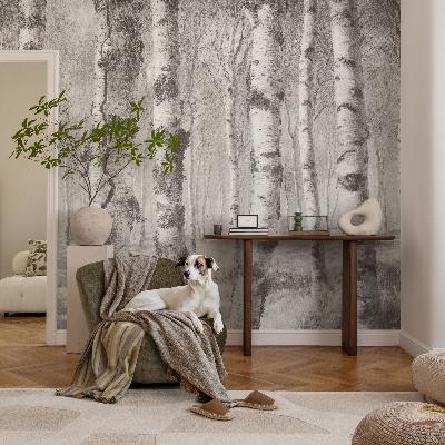 Fototapet soveværelse Birkeskov