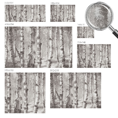 Fototapet soveværelse Birkeskov