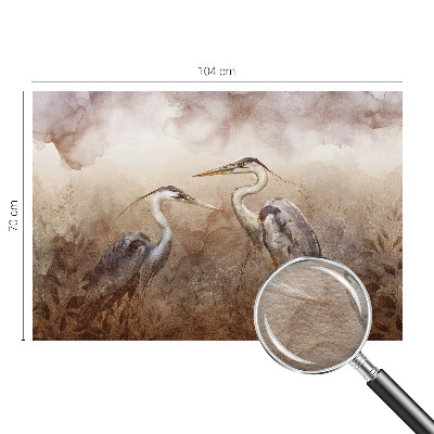 Fototapet efter mål Elegante fugle