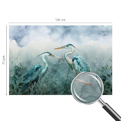 Modern fototapet med motiv af naturens fugle