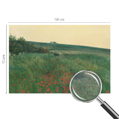 Foto tapet med motiv af valmuemarker