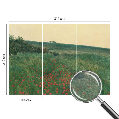 Foto tapet med motiv af valmuemarker