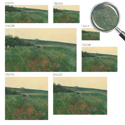 Foto tapet Valmuemarker