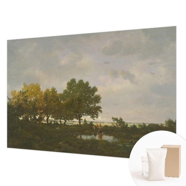 Non-woven fototapet Skovlandskab