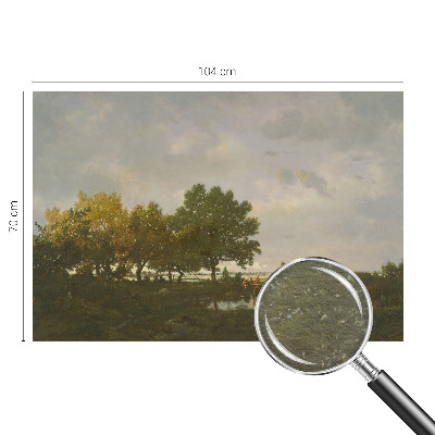 Non-woven fototapet Skovlandskab