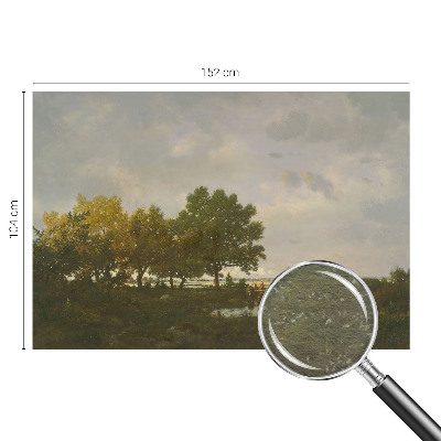Non-woven fototapet med motiv af et skovlandskab