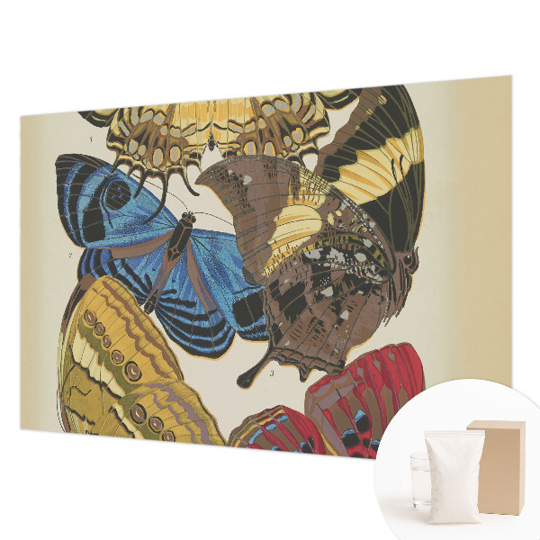 Foto tapet Inspiration til sommerfugle