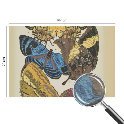 Foto tapet Inspiration til sommerfugle