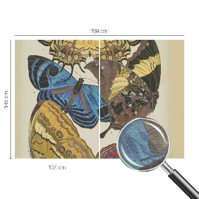 Foto tapet Inspiration til sommerfugle