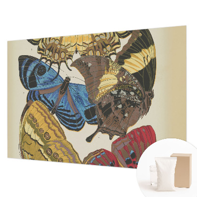 Foto tapet Inspiration til sommerfugle