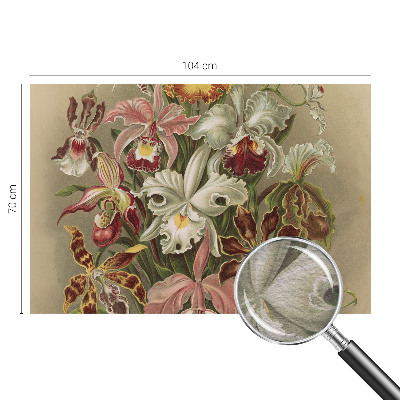 Vlies fototapet med blomsteragtigt motiv i elegant design