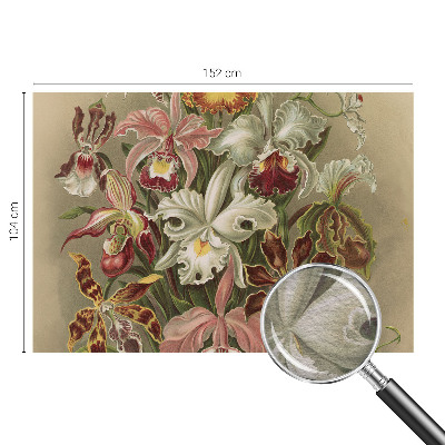 Vlies fototapet med blomsteragtigt motiv i elegant design