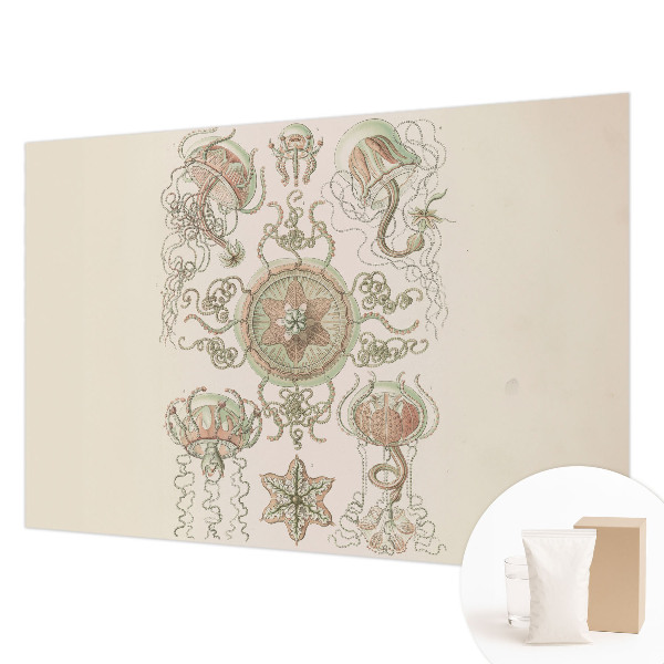 Fotostat Undervandsverden