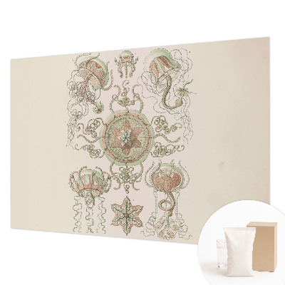 Fotostat Undervandsverden