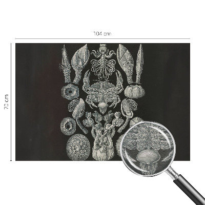 Tapet Undervandsformer