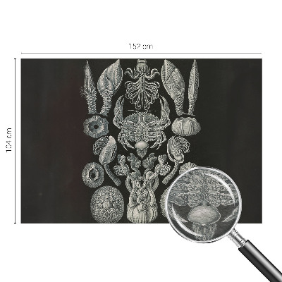 Tapet Undervandsformer