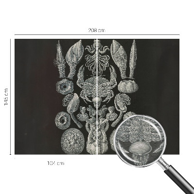 Tapet Undervandsformer