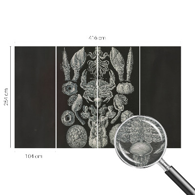 Tapet med undervandsmotiver