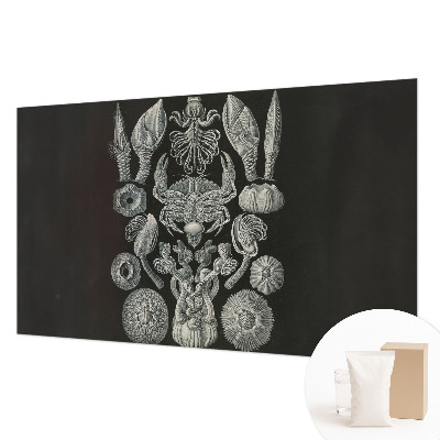 Tapet Undervandsformer