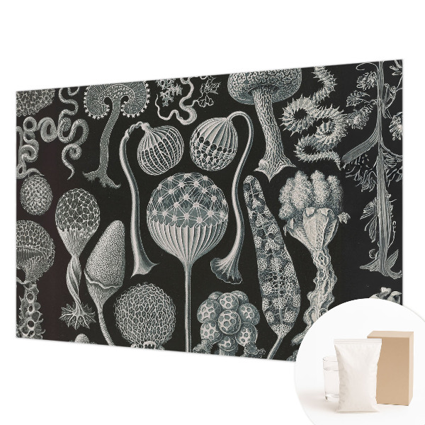 Væg tapet Magiske planter