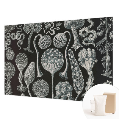 Væg tapet Magiske planter