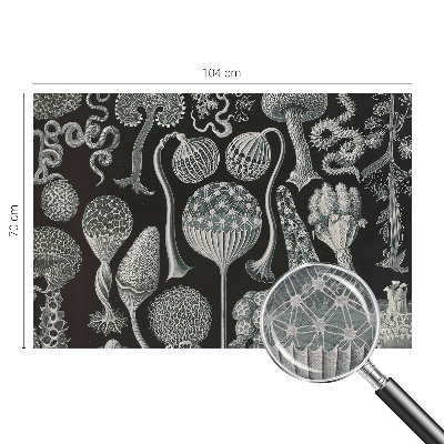 Væg tapet Magiske planter