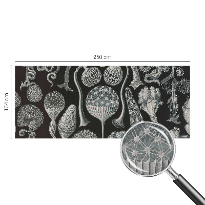 Væg tapet Magiske planter