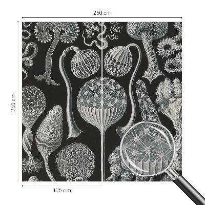 Væg tapet Magiske planter