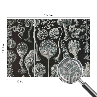 Væg tapet Magiske planter