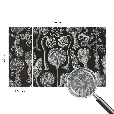 Væg tapet Magiske planter