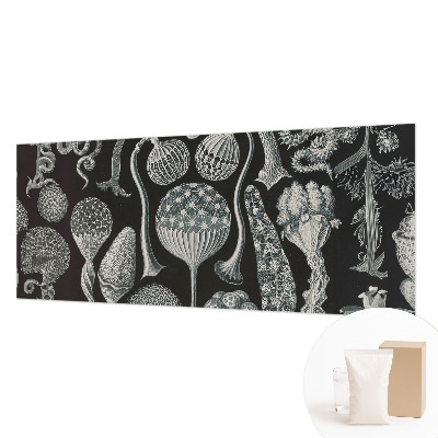 Væg tapet Magiske planter