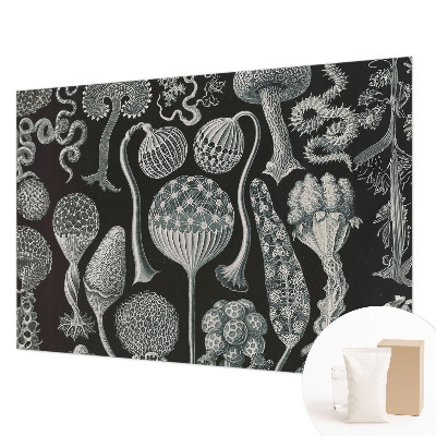 Væg tapet Magiske planter