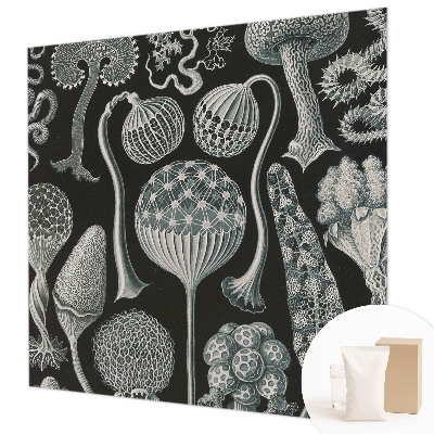 Væg tapet Magiske planter