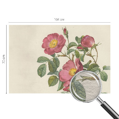 Tapet væg med rosemotiv