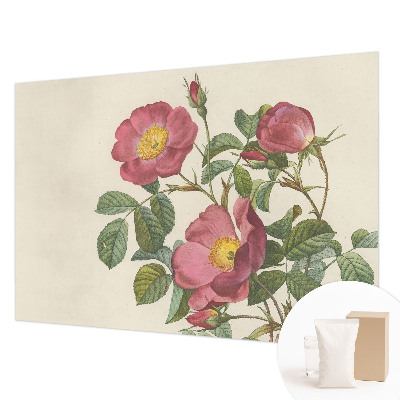 Tapet væg med rosemotiv
