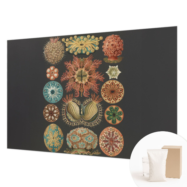 Væg tapet Havinspirationer